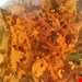 ماسک صورت اسمانتوس