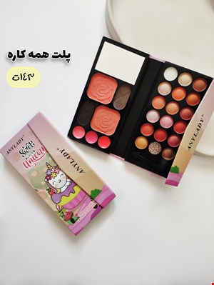 پلت همه کاره مسافرتی انیلیدی